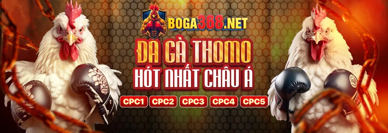 Sân đấu gà trực tuyến kịch tính tại FM88